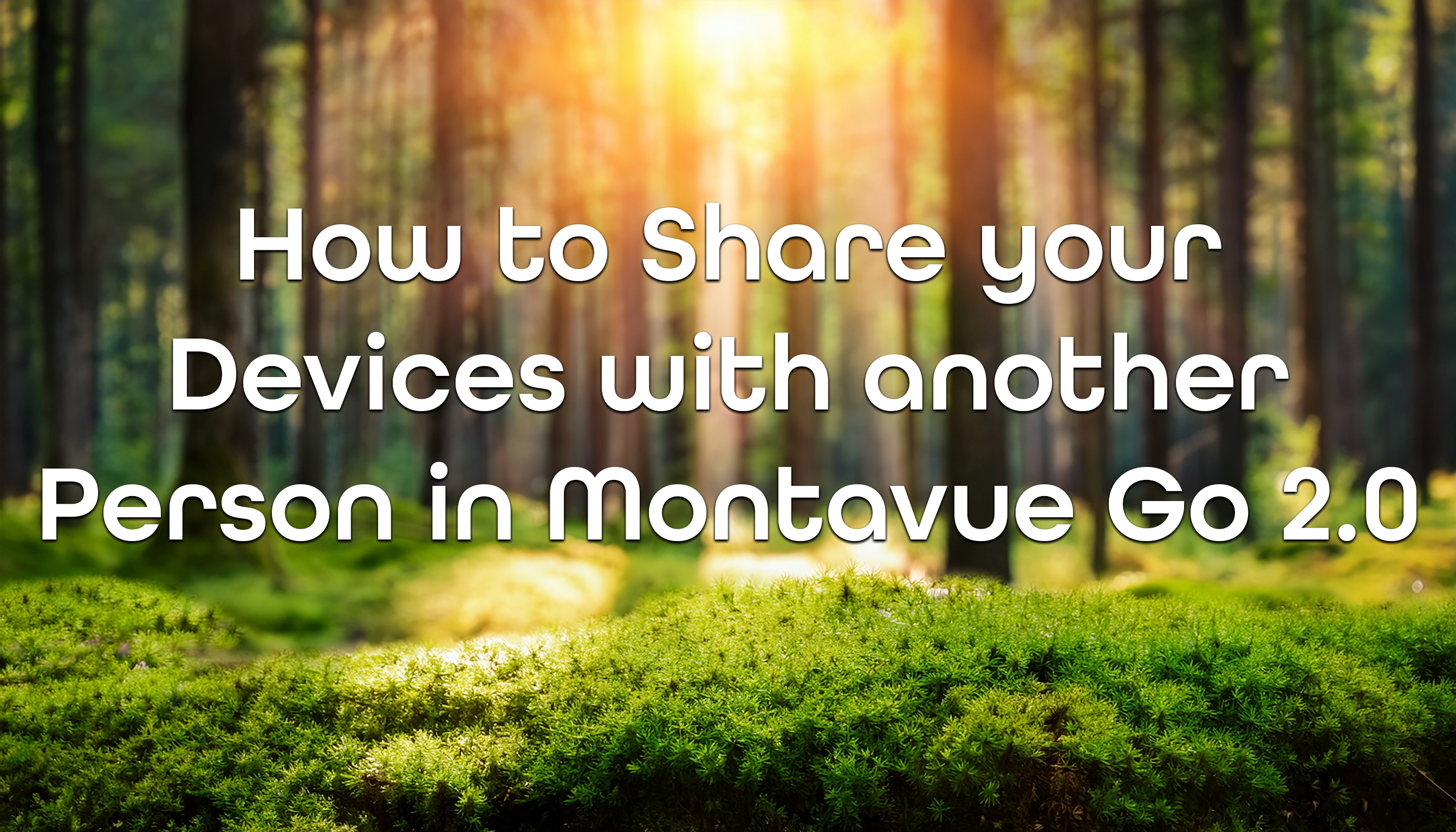 How to Share Your Devices in Montavue Go 2.0 With Another Email/Account
