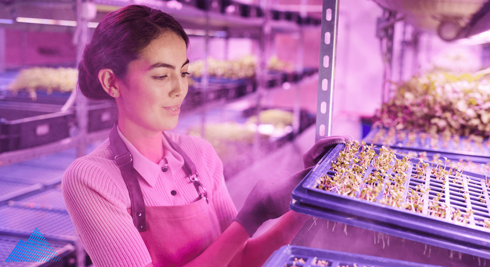 Woman holding seedling under a grow light