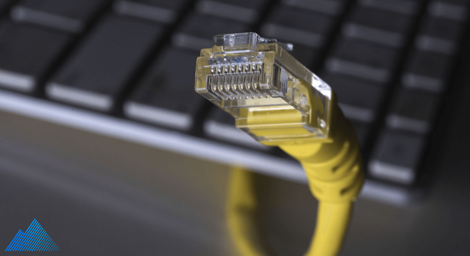 Ethernet cable next to a laptop