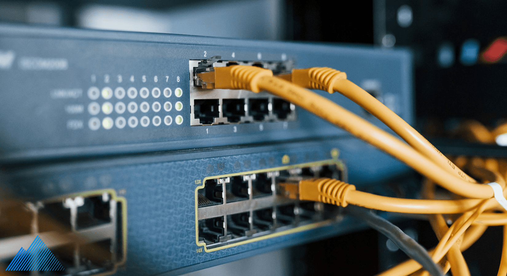 Ethernet cables plugged into a network switch