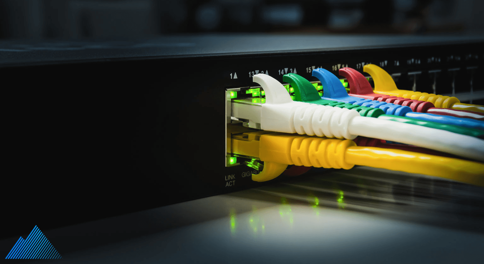 Ethernet cables plugged into a network switch