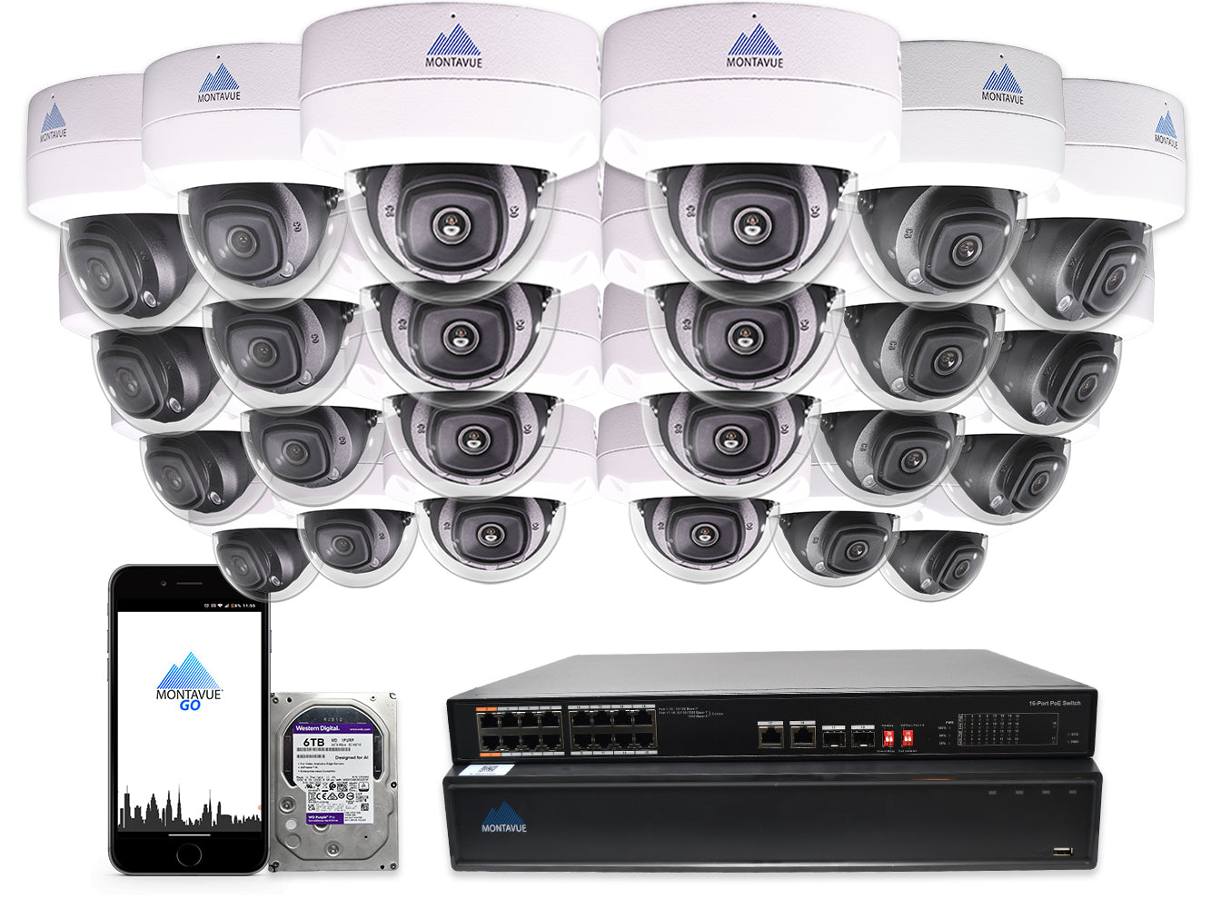 MTD8110 Package | 4K Acupick Vandal-Proof Dome Cameras and 32 Channel 5 Series AI NVR with 6TB HDD - Montavue