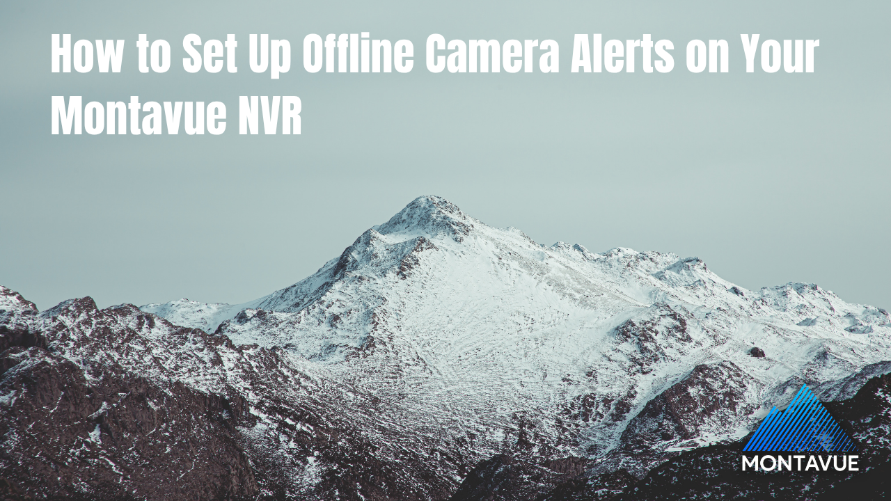 How to Set Up Offline Camera Alerts on Your Montavue NVR