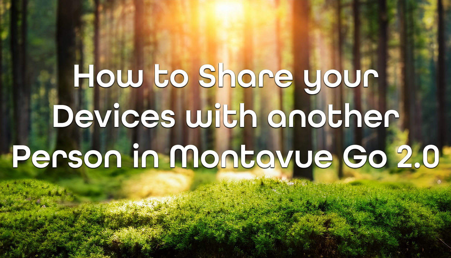 How to Share Your Devices in Montavue Go 2.0 With Another Email/Account