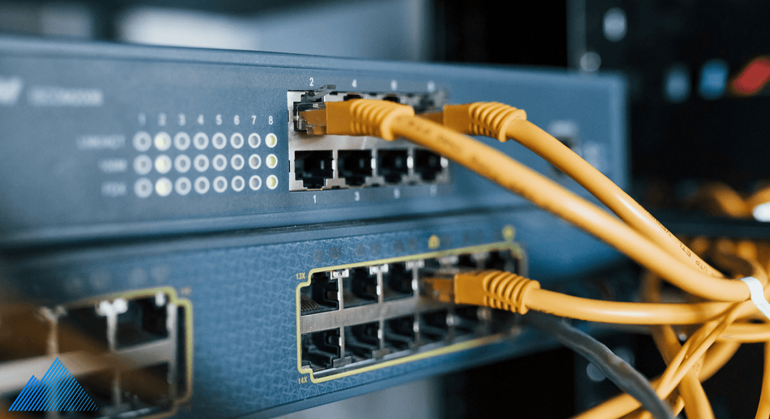Ethernet cables plugged into a network switch