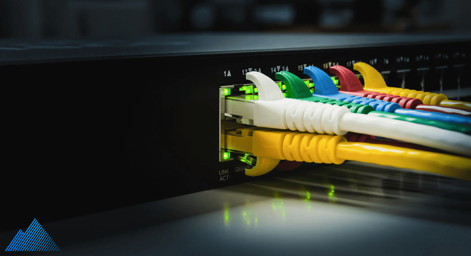 Ethernet cables plugged into a network switch