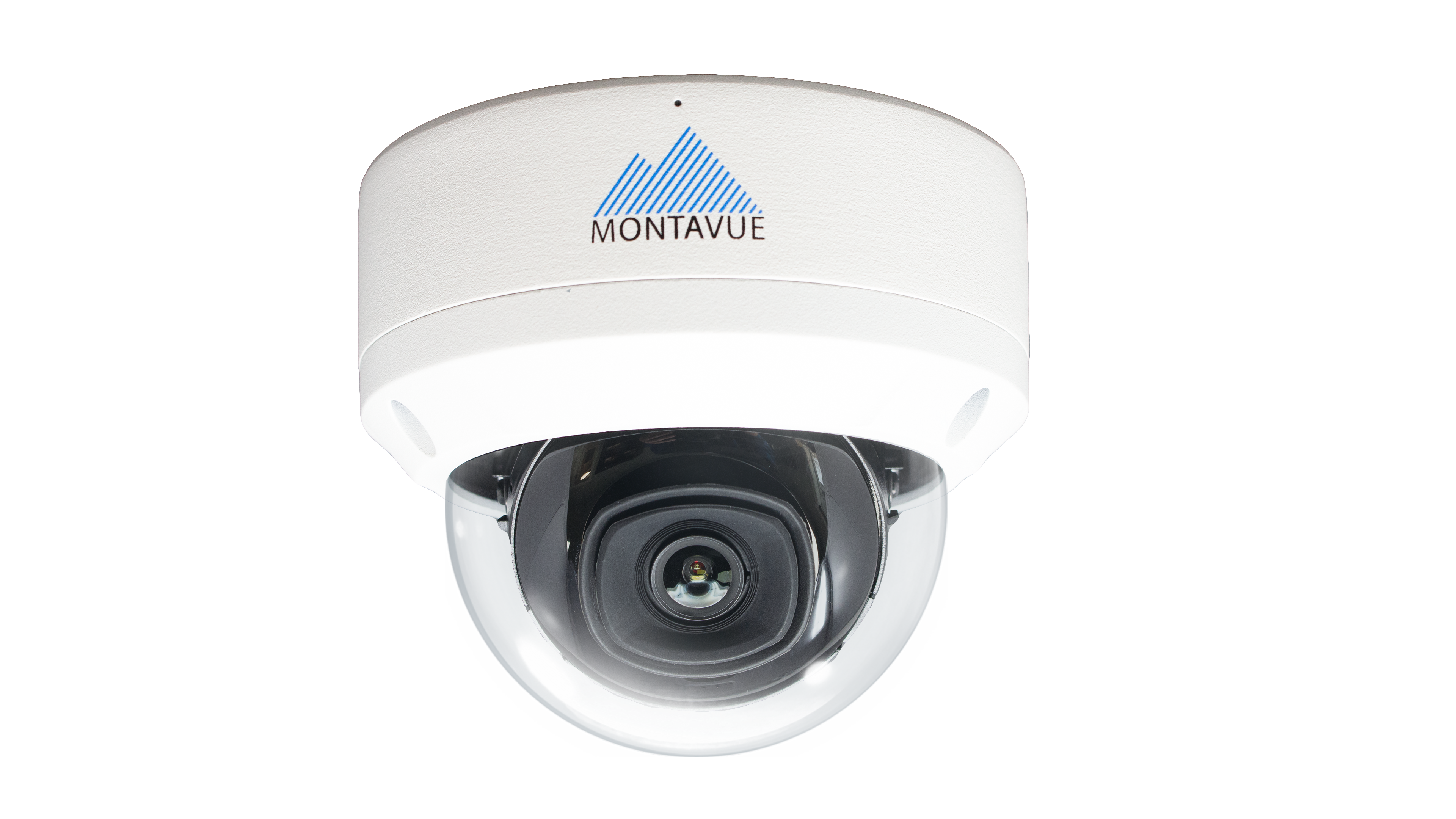 Vandal-Proof Dome Defense