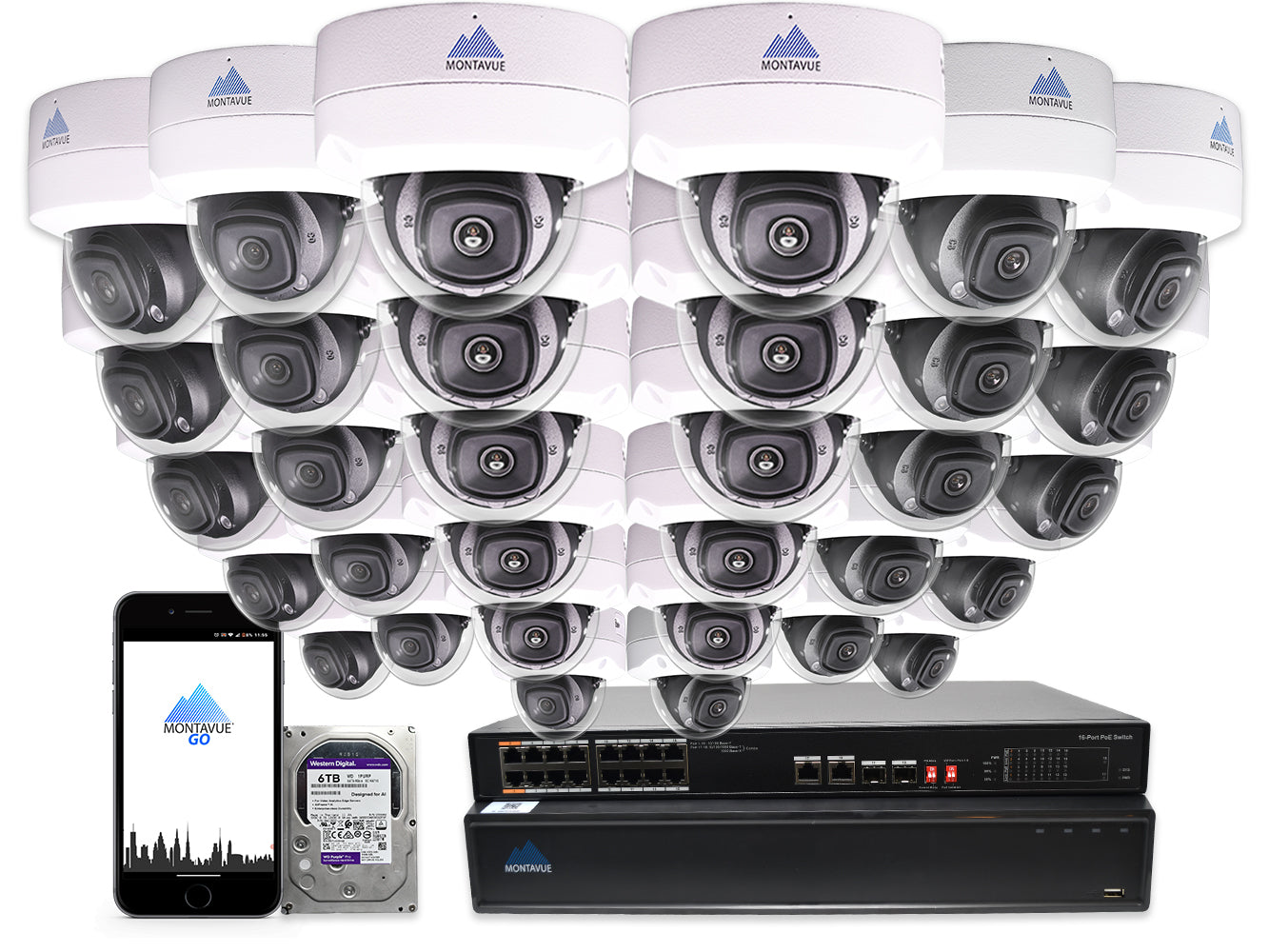 MTD8110 Package | 4K Acupick Vandal-Proof Dome Cameras and 32 Channel 5 Series AI NVR with 6TB HDD - Montavue
