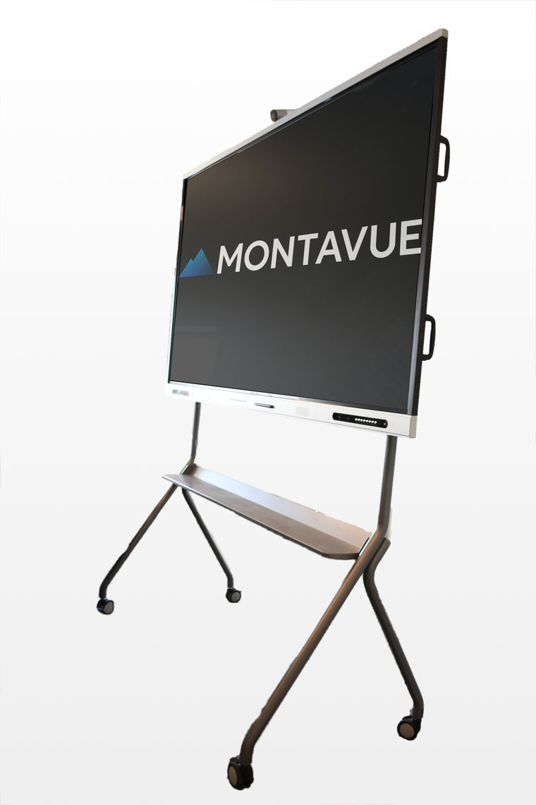65" Interactive Smart Board Flat Panel Mobile Stand